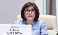 Sahibə Qafarova TÜRKPA-nın 15-ci plenar iclasında çıxış etdi