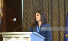 Son bir ildə Qarabağ və Naxçıvana investisiya yatıran Aİ şirkətlərinin sayı xeyli artıb