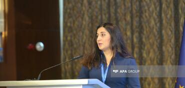 Son bir ildə Qarabağ və Naxçıvana investisiya yatıran Aİ şirkətlərinin sayı xeyli artıb
