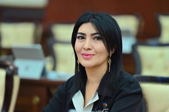 “Bu amil Azərbaycan–Hindistan münasibətlərinin siyasi həssaslığını artırır”