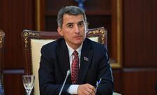 Fariz İsmayılzadə xarici tələbələrin viza problemi ilə bağlı təklif verdi