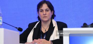 Avropa Şurasının rəsmisi Azərbaycanla uzun illərdir davam edən əməkdaşlığı yüksək qiymətləndirib