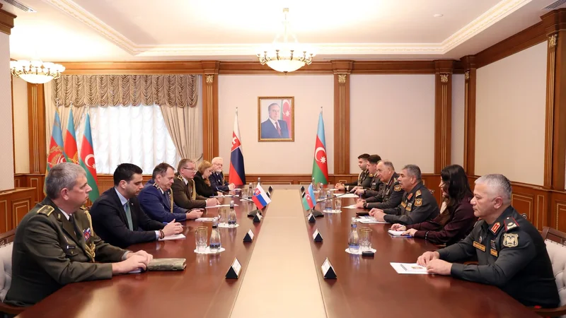 Azərbaycan müdafiə naziri Slovakiyanın nümayəndə heyətini qəbul etdi - FOTO