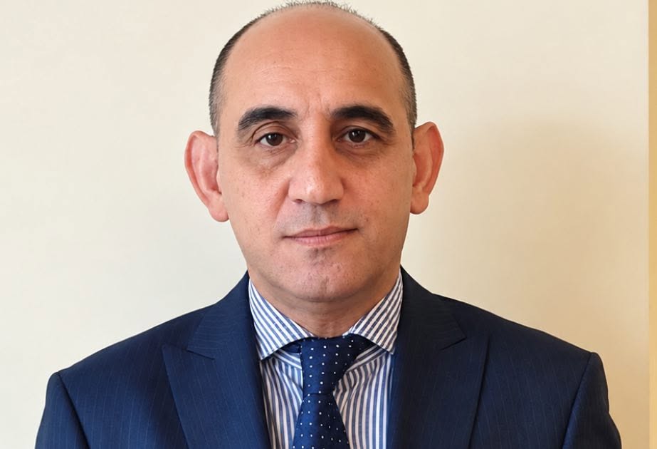 “Paşinyanın söylədikləri mücərrəd yanaşmadır”